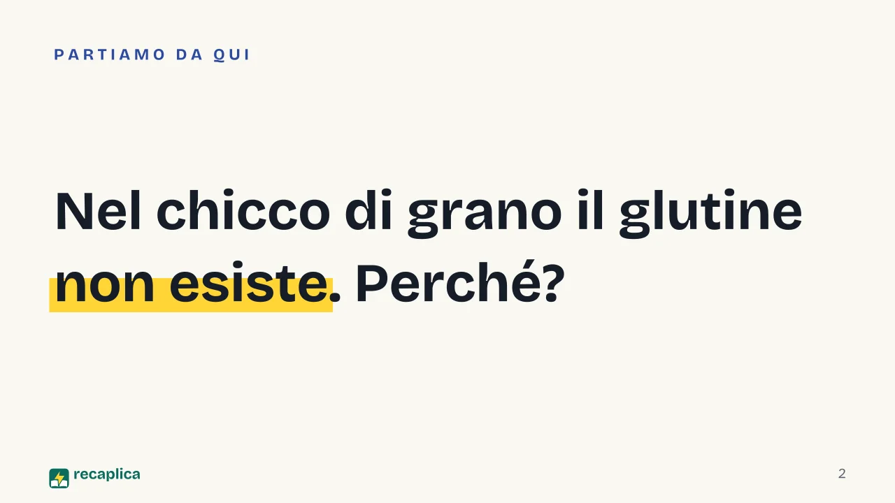 Slide 2 della presentazione su Il glutine: Nel chicco di grano il glutine non esiste. Perché?
