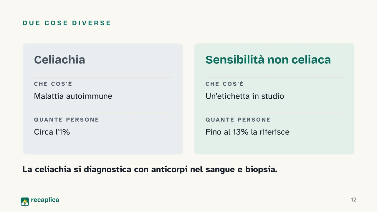 Slide 12 della presentazione su Il glutine: Due cose diverse