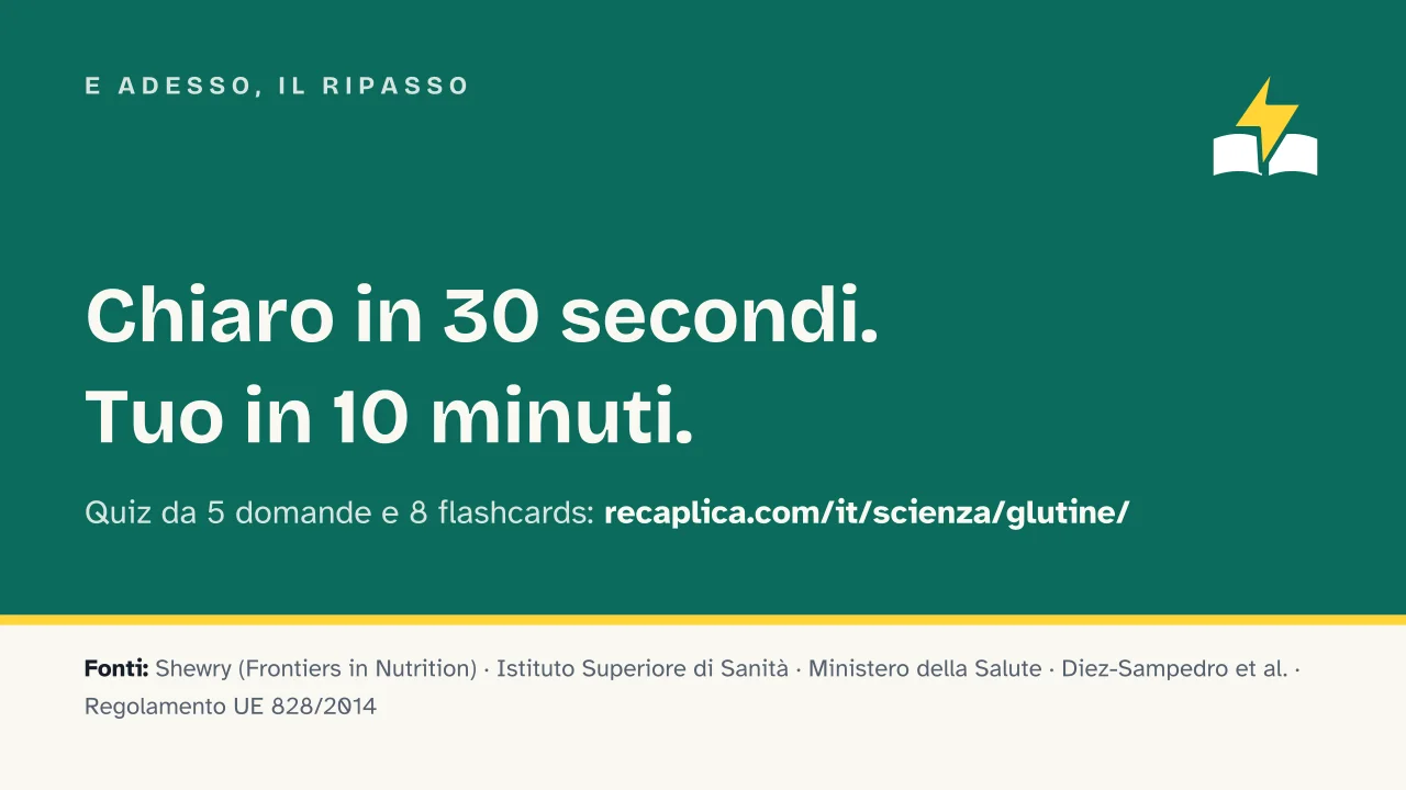 Slide 18 della presentazione su Il glutine: E adesso, il ripasso