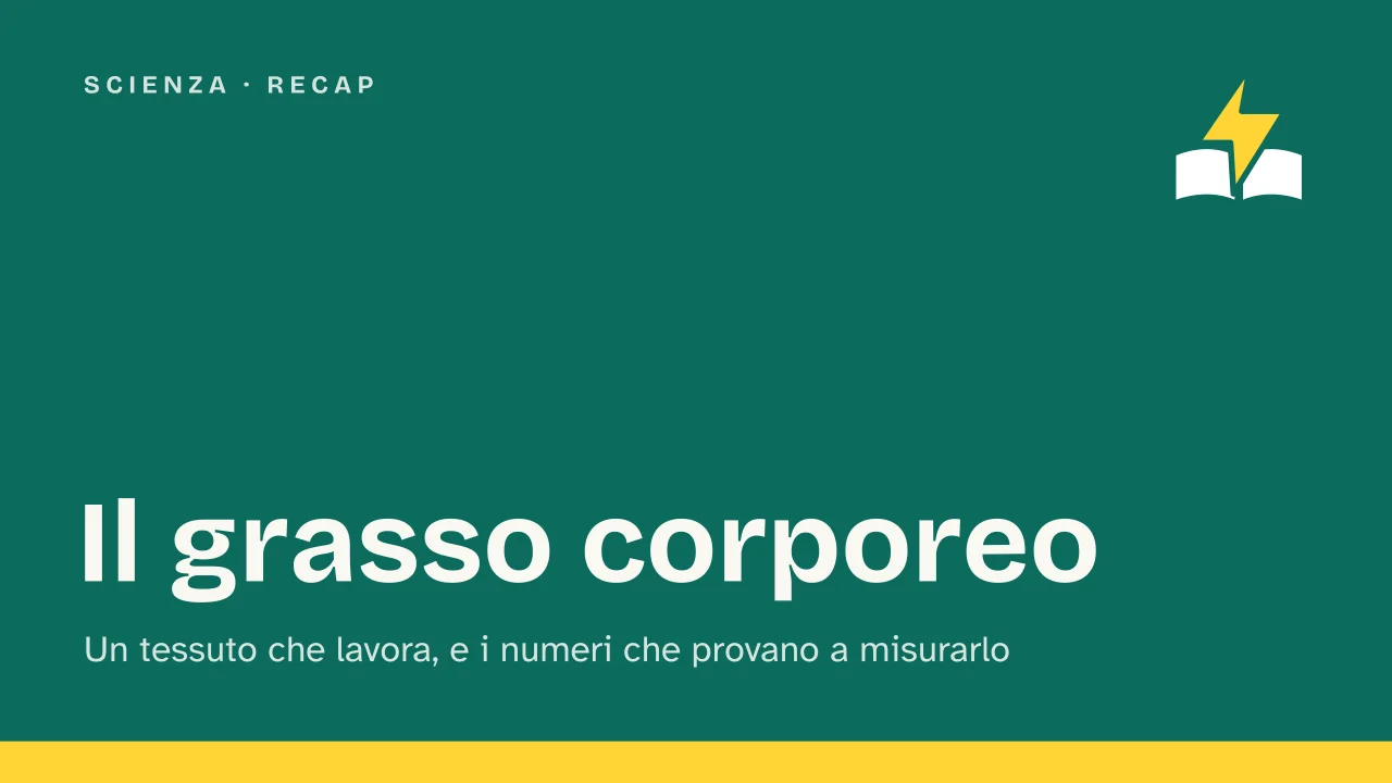 Slide 1 della presentazione su Grasso corporeo: Il grasso corporeo