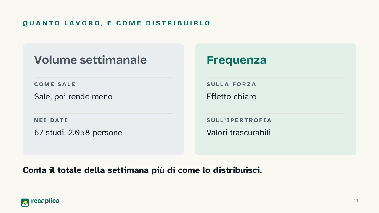 Slide 11 della presentazione su Ipertrofia muscolare: Quanto lavoro, e come distribuirlo
