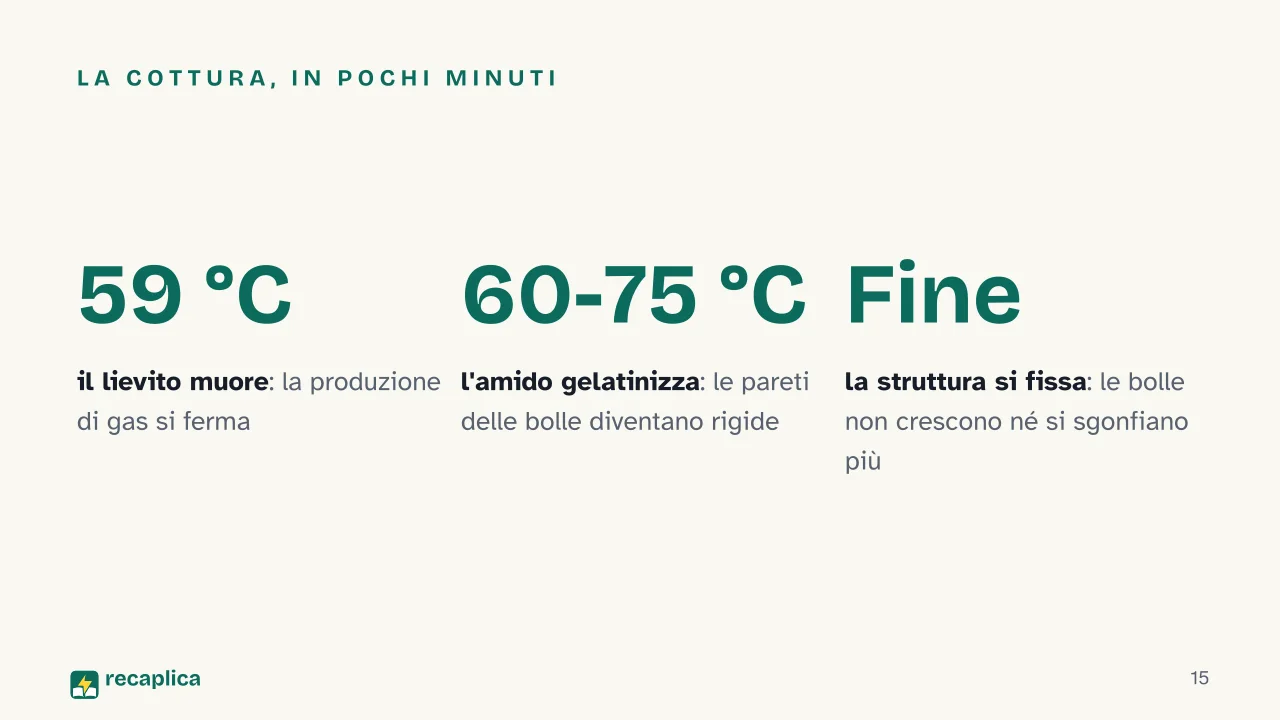 Slide 15 della presentazione su La lievitazione: La cottura, in pochi minuti