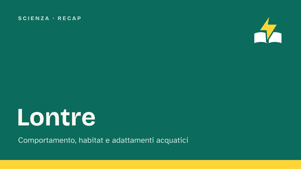 Slide 1 della presentazione su Lontre: Lontre