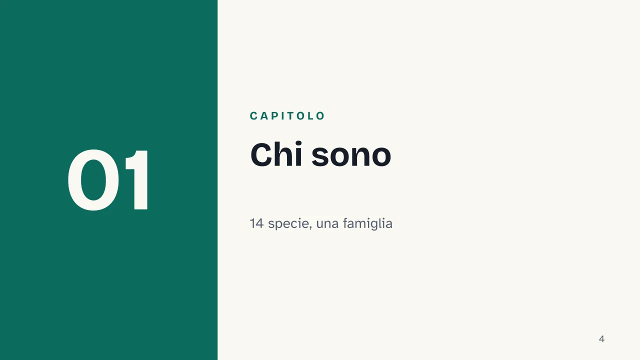 Slide 4 della presentazione su Lontre: Capitolo 01: Chi sono