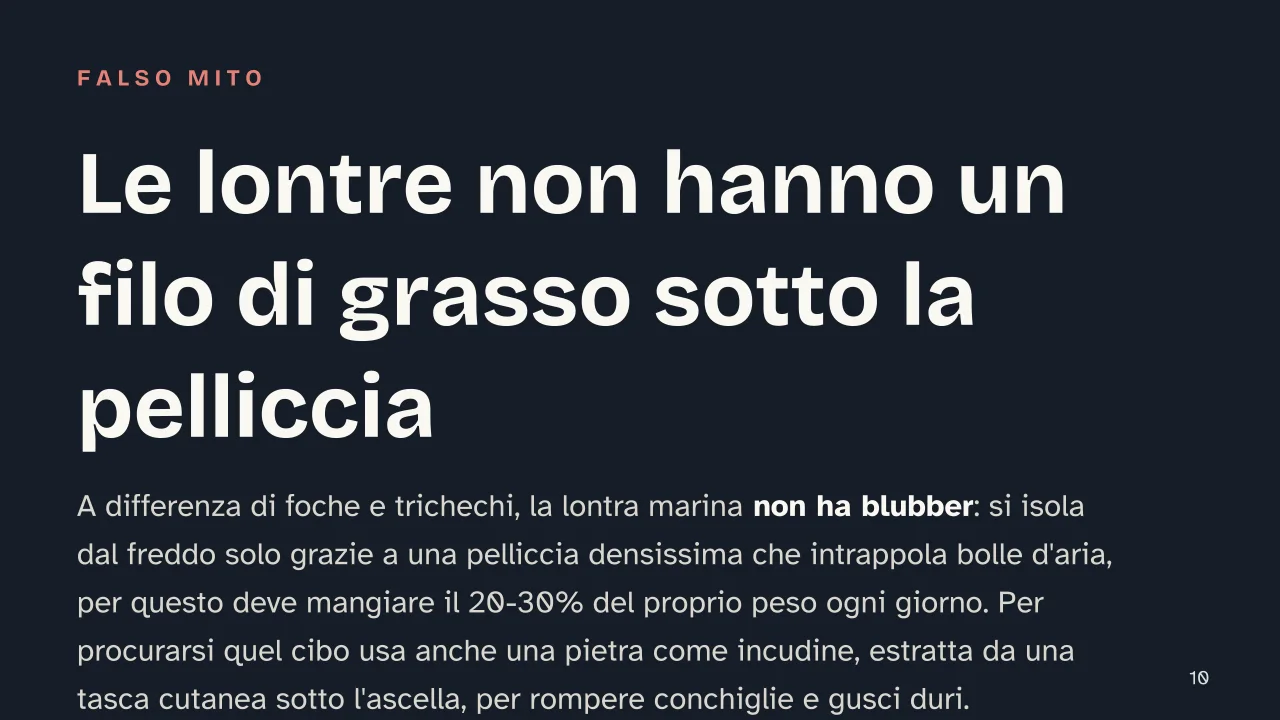 Slide 10 della presentazione su Lontre: Le lontre non hanno un filo di grasso sotto la pelliccia