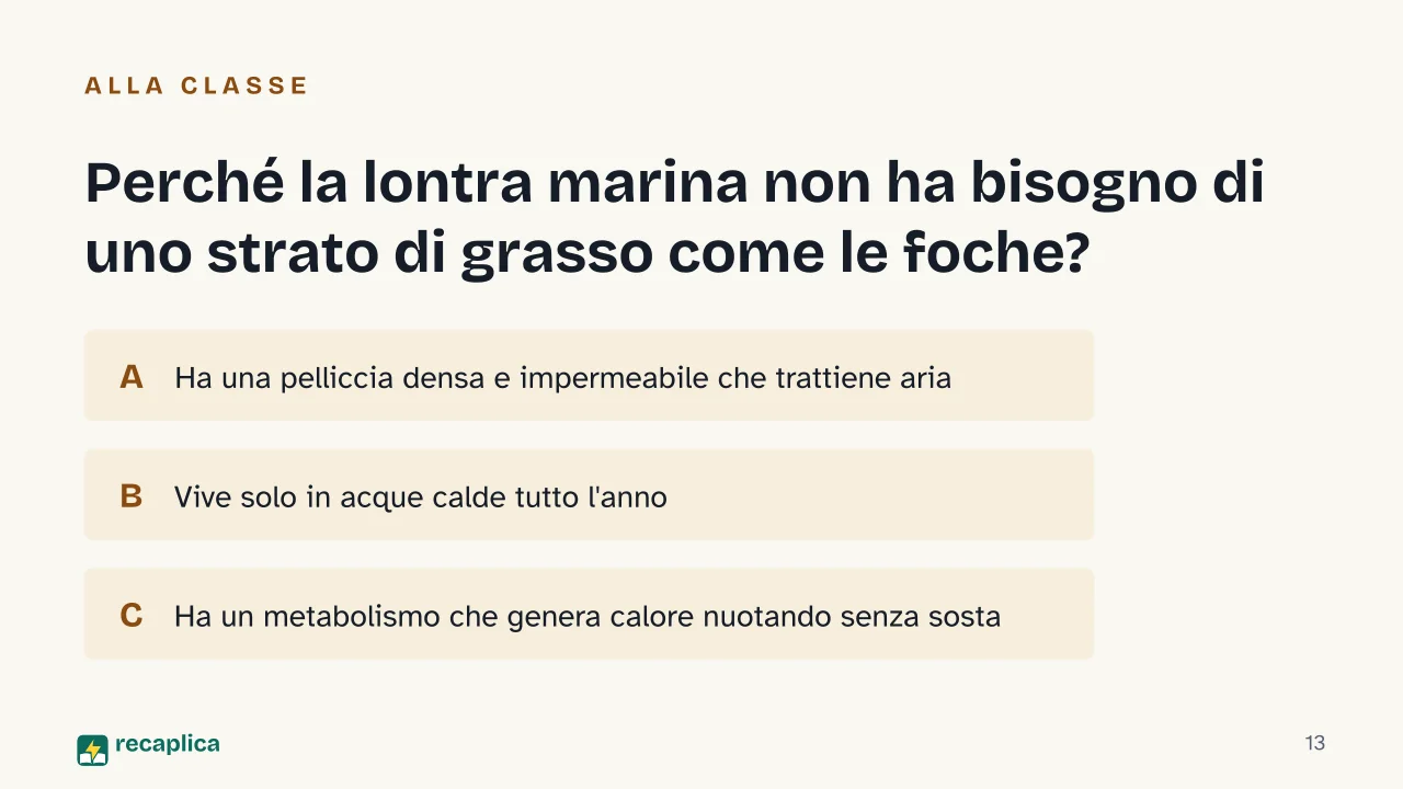 Slide 13 della presentazione su Lontre: Perché la lontra marina non ha bisogno di uno strato di grasso come le foche?