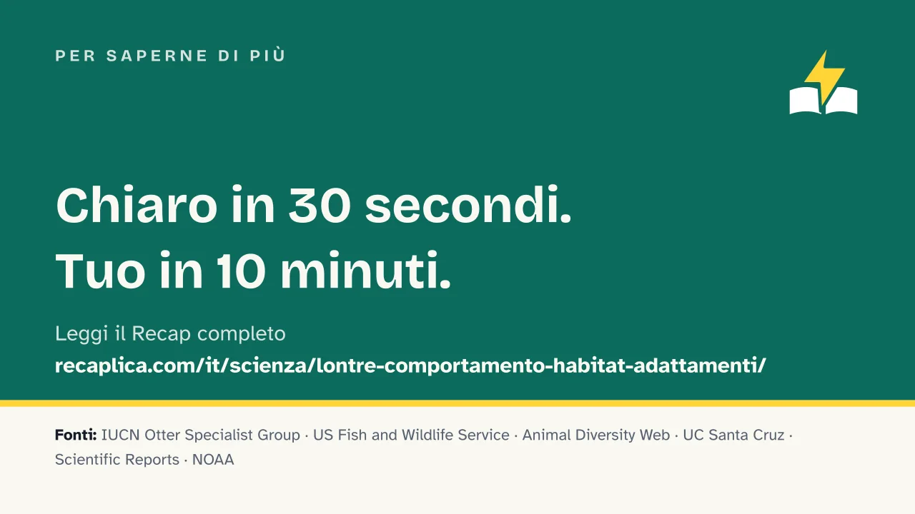 Slide 14 della presentazione su Lontre: Per saperne di più