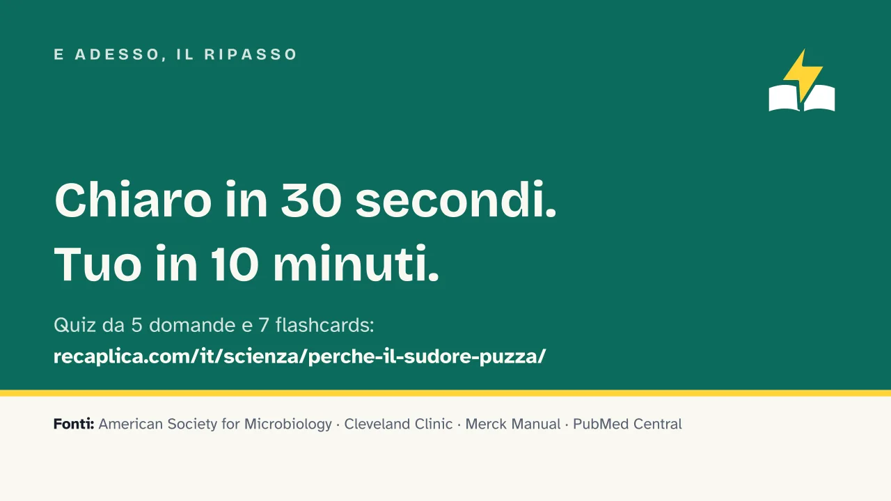 Slide 18 della presentazione su Perché il sudore puzza: E adesso, il ripasso