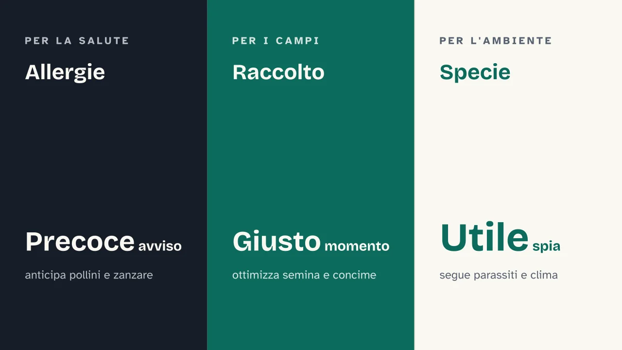 Slide 12 della presentazione su Primavera: Allergie · Raccolto · Specie
