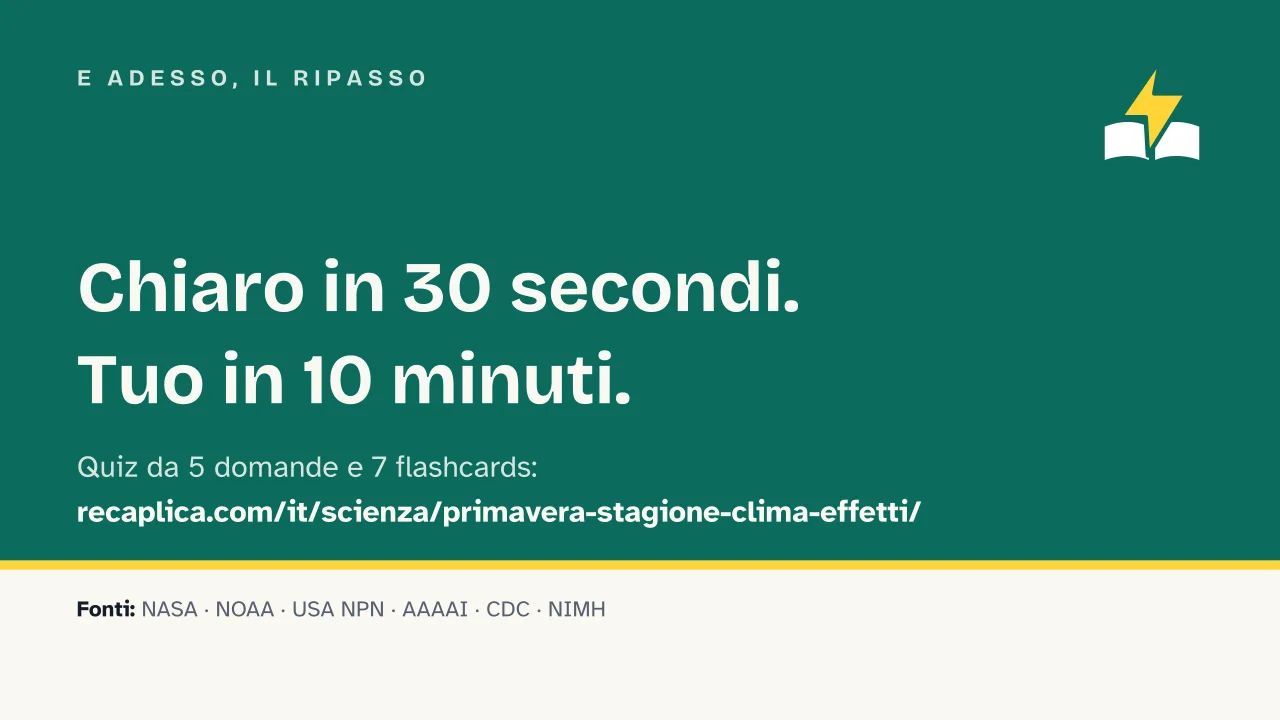 Slide 18 della presentazione su Primavera: E adesso, il ripasso