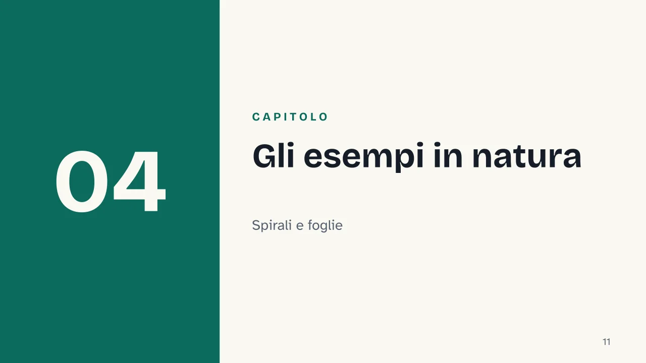 Slide 11 della presentazione su Sequenza di Fibonacci: Capitolo 04: Gli esempi in natura