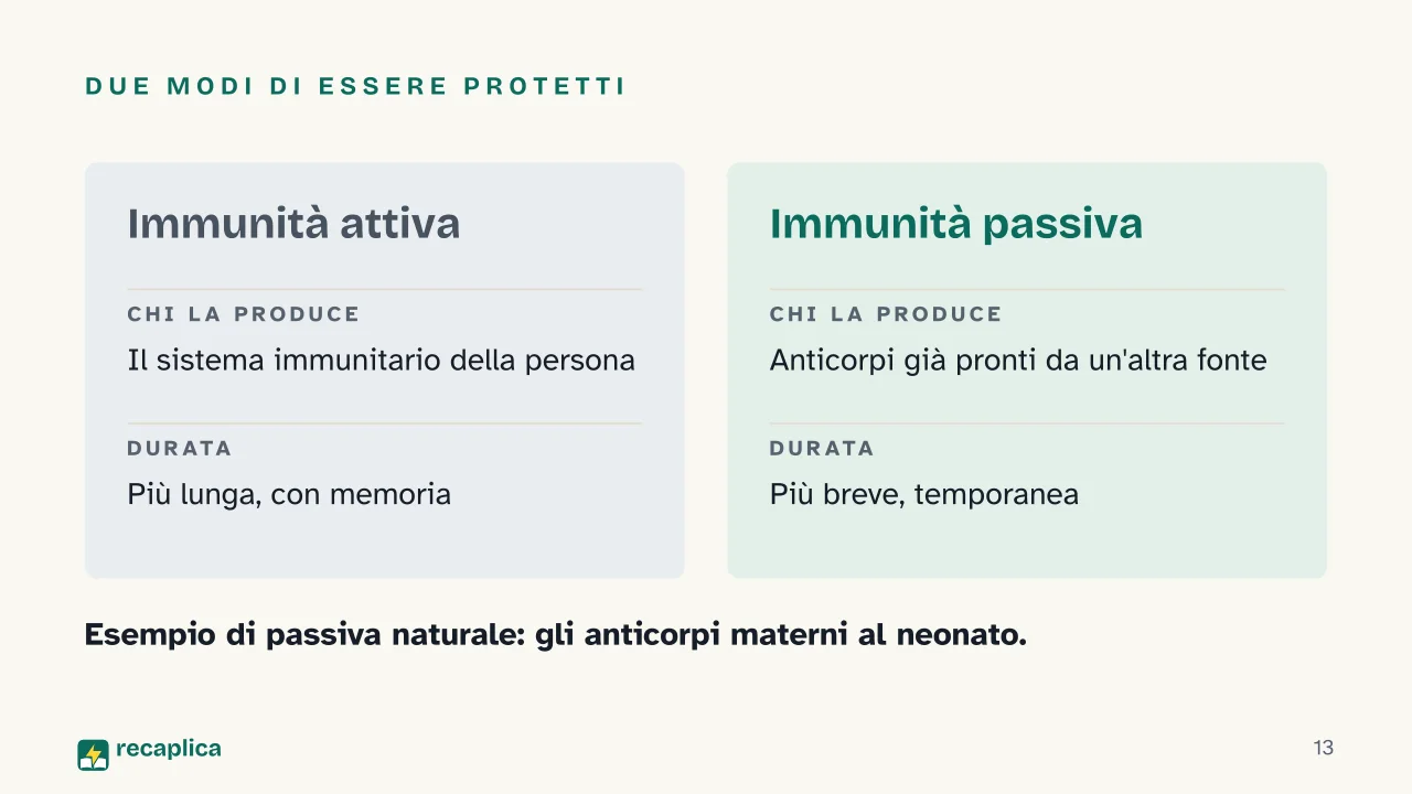 Slide 13 della presentazione su Sistema immunitario, come funziona: Due modi di essere protetti