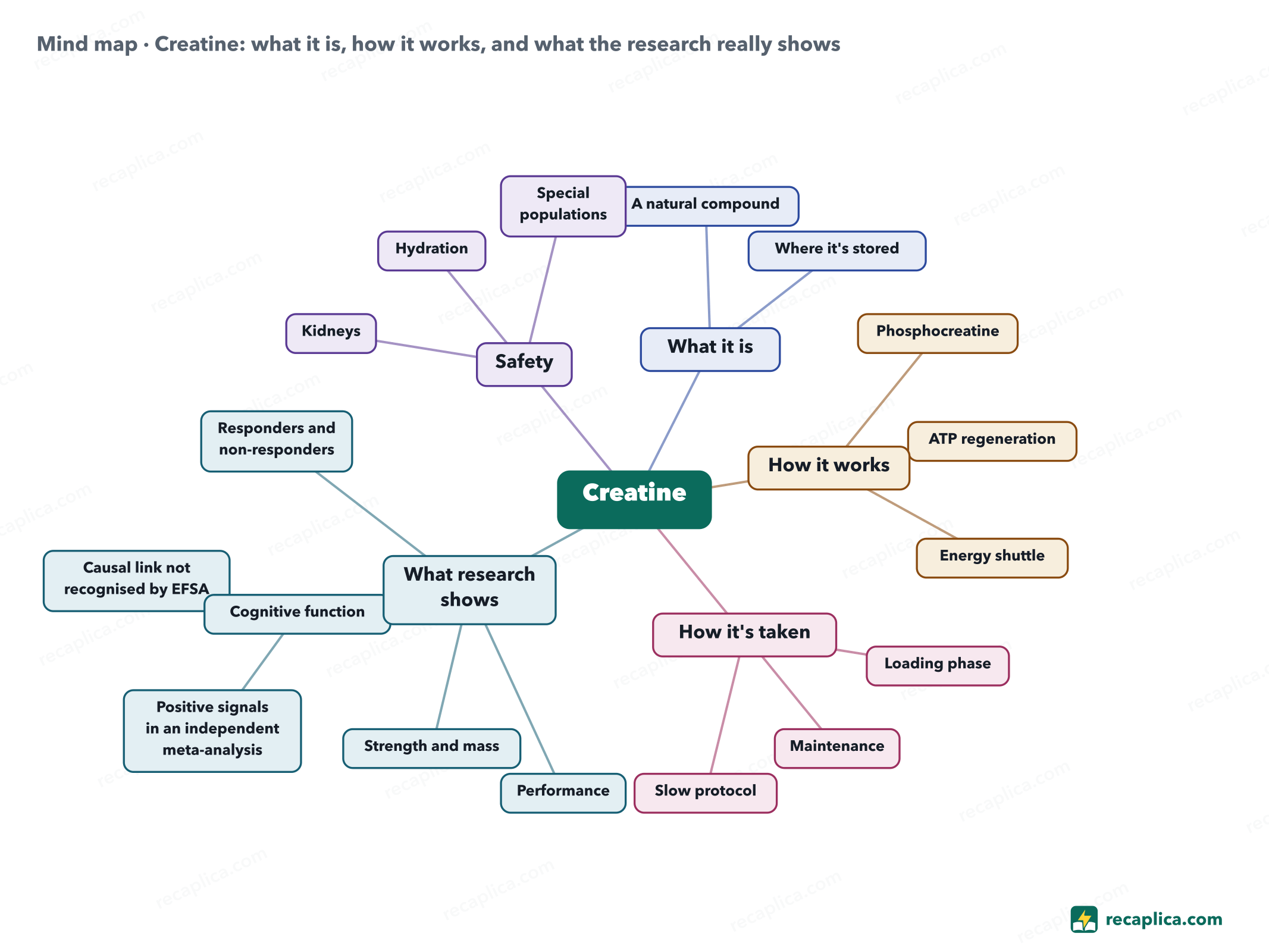 Mind map: Creatine: what it is, how it works, and what the research really shows