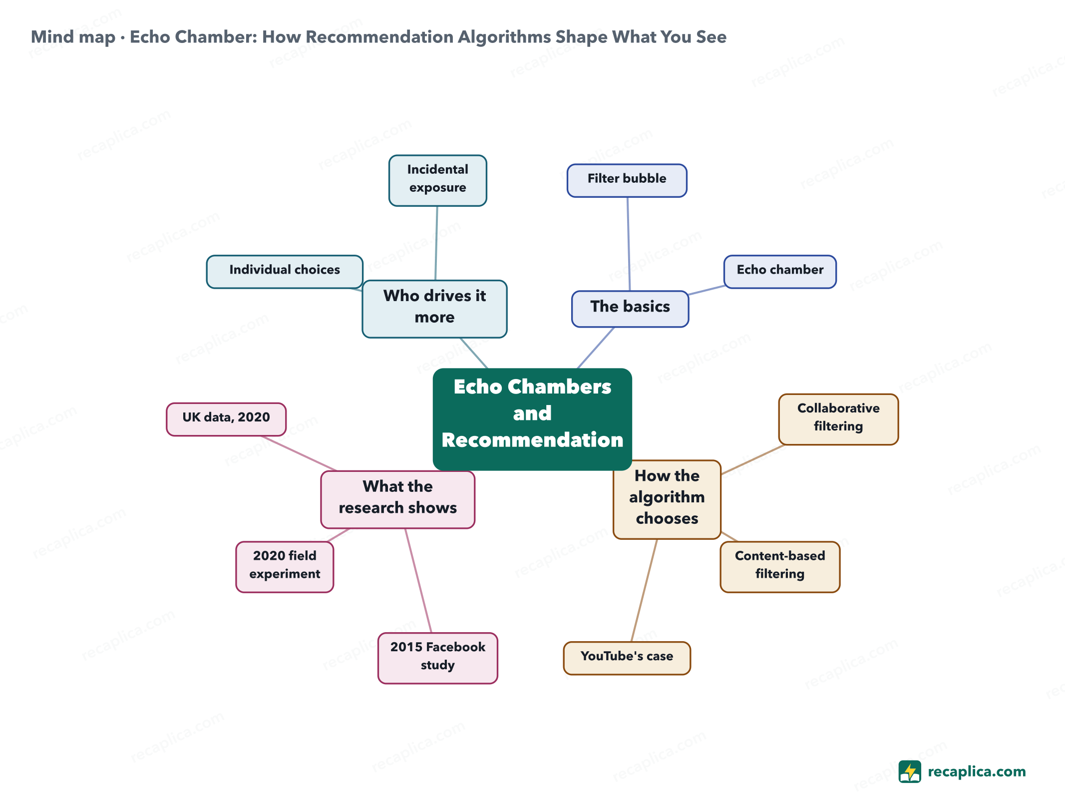 Mind map: Echo Chamber: How Recommendation Algorithms Shape What You See