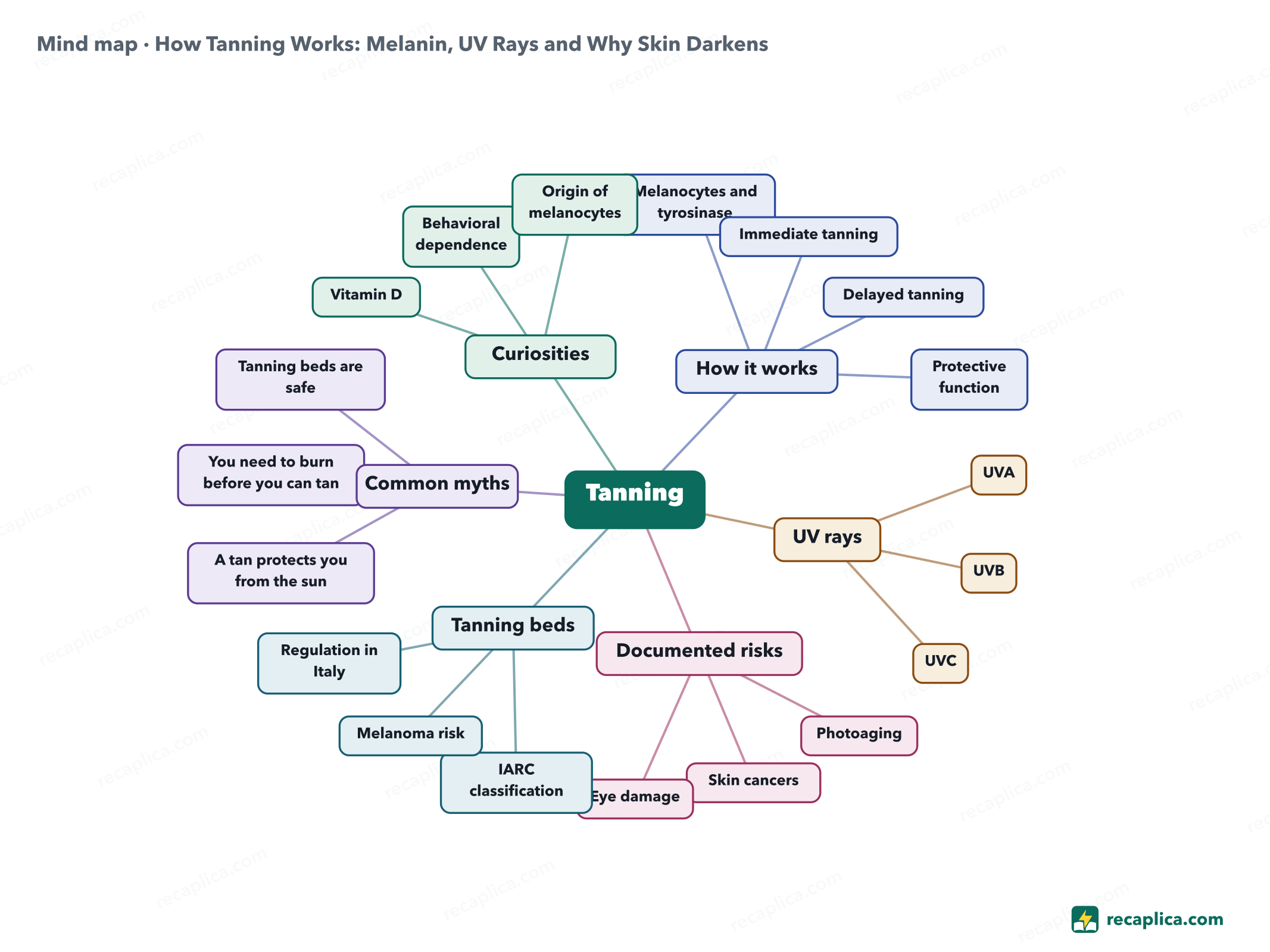 Mind map: How Tanning Works: Melanin, UV Rays and Why Skin Darkens