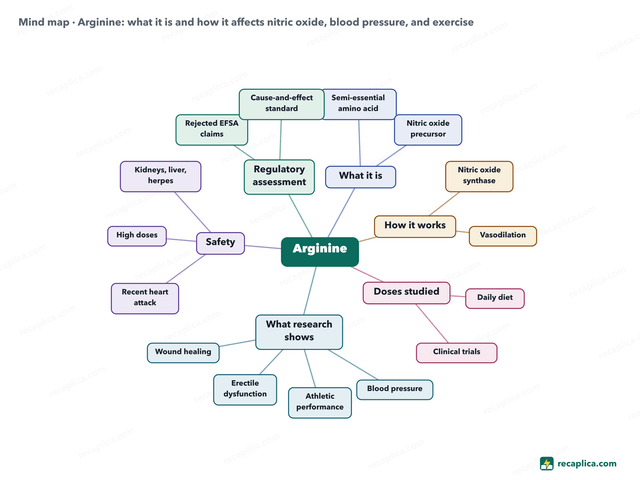 Mind map: Arginine