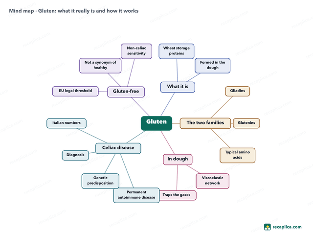 Mind map: Gluten
