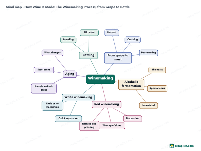 Mind map: How Wine Is Made
