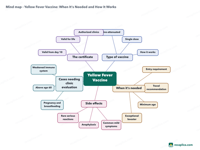 Mind map: Yellow Fever Vaccine