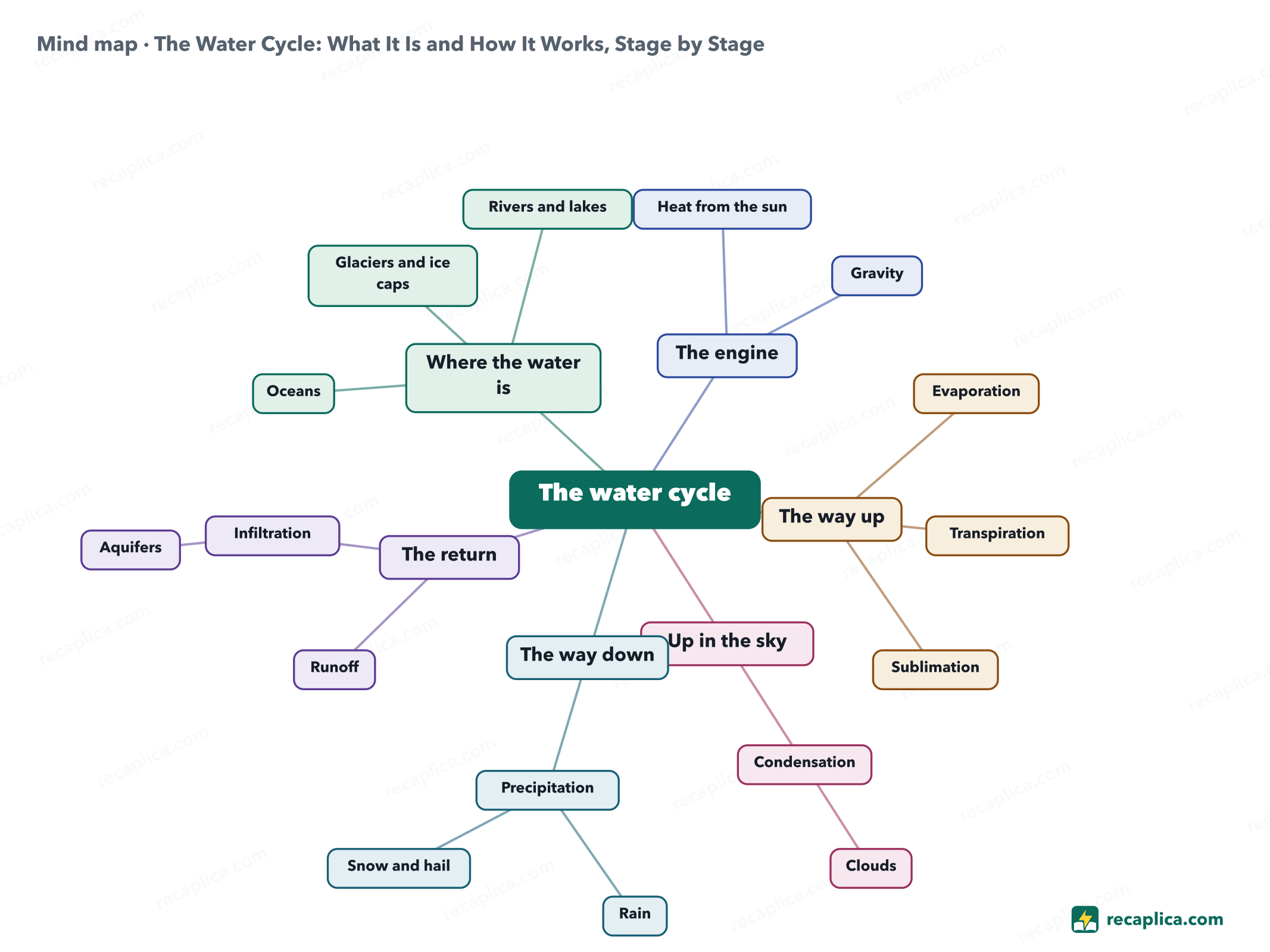 Mind map: The Water Cycle: What It Is and How It Works, Stage by Stage