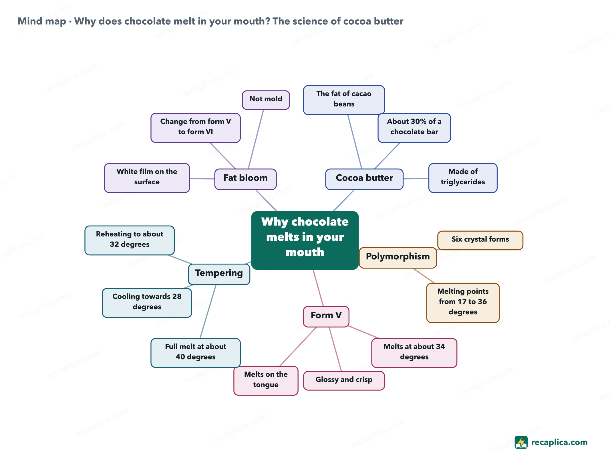 Mind map: Why does chocolate melt in your mouth? The science of cocoa butter