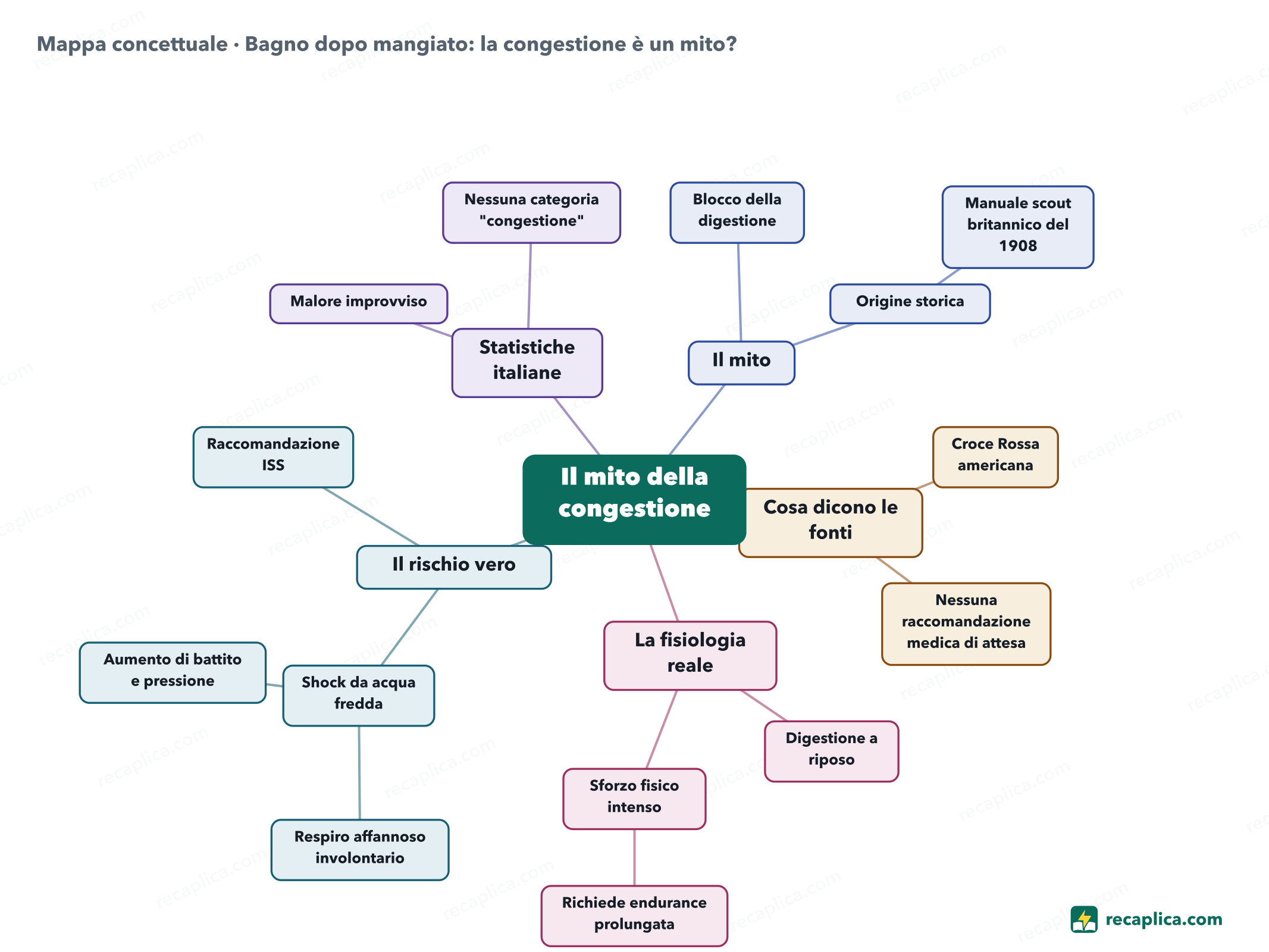 Mappa concettuale: Bagno dopo mangiato: la congestione è un mito?