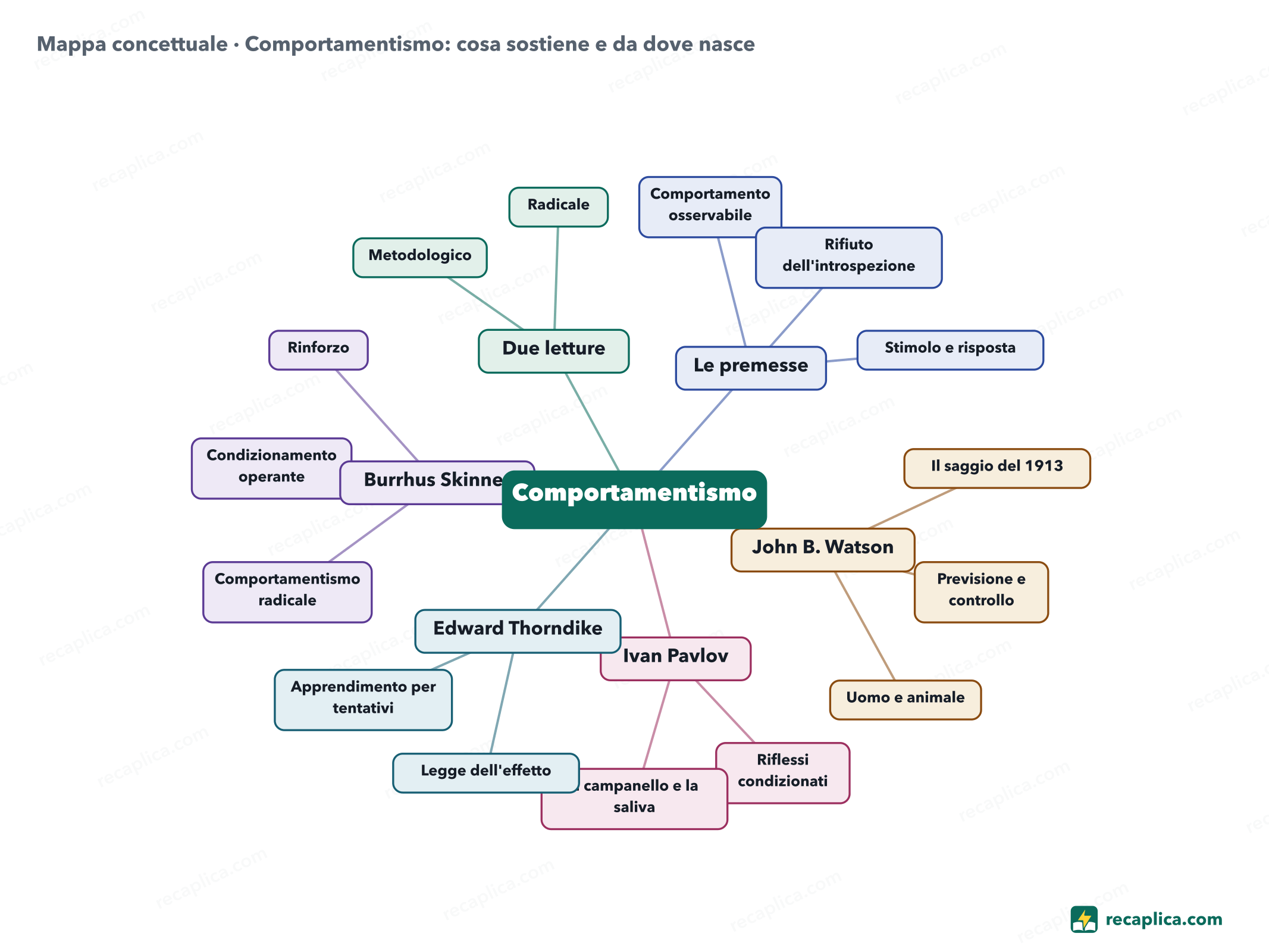Mappa concettuale: Comportamentismo: cosa sostiene e da dove nasce