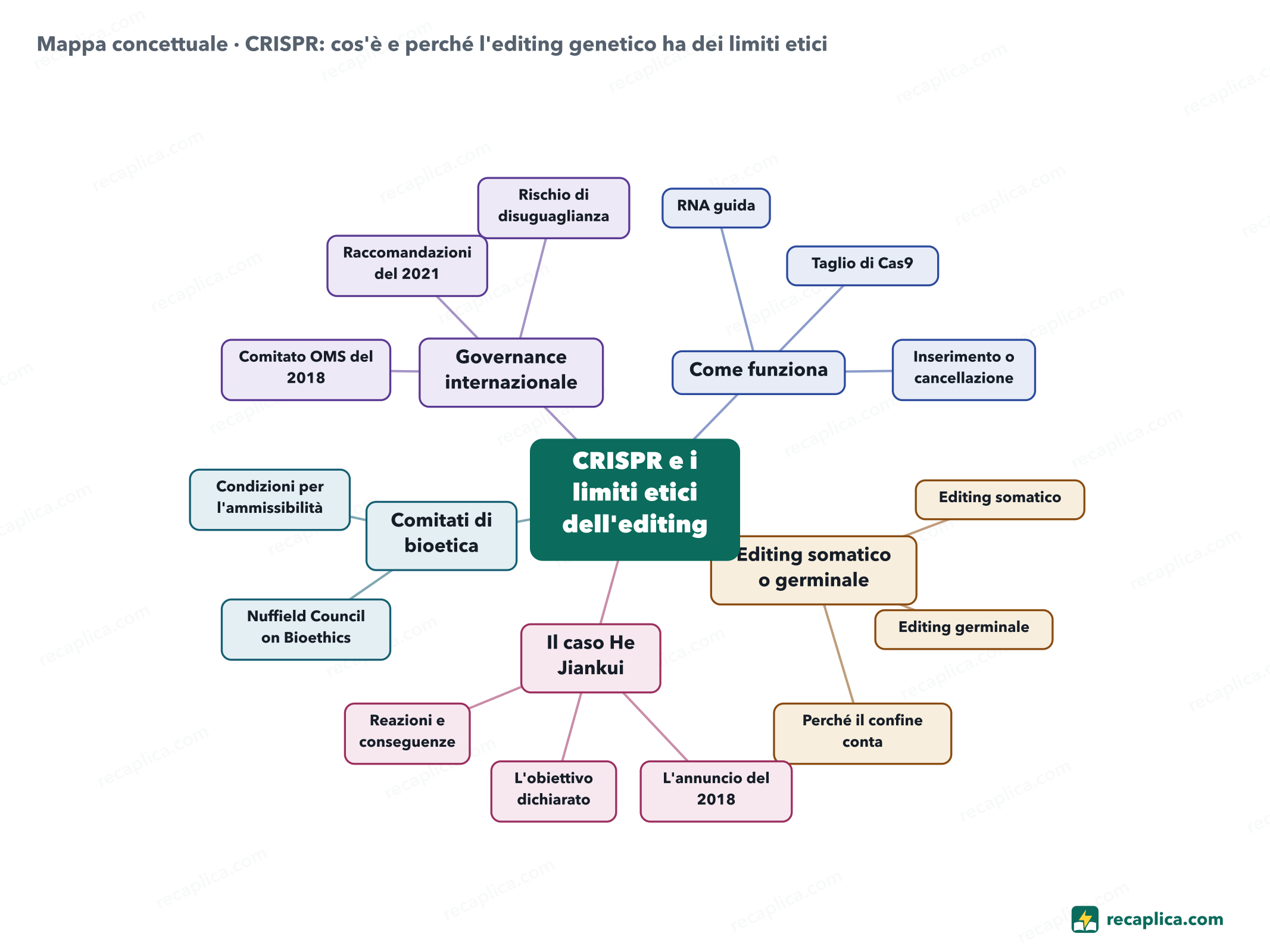 Mappa concettuale: CRISPR: cos'è e perché l'editing genetico ha dei limiti etici