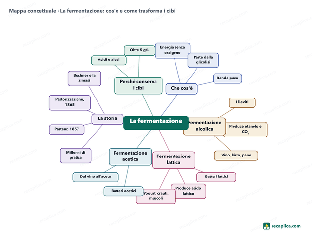 Mappa concettuale: La fermentazione