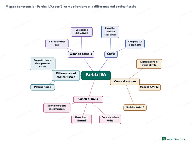 Mappa concettuale: Partita IVA