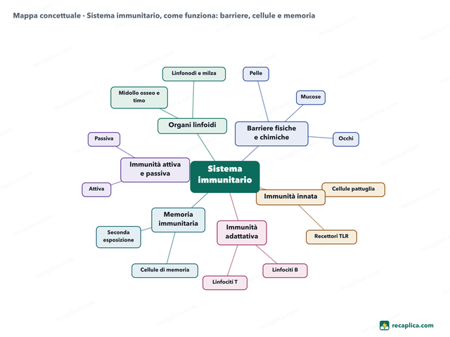 Mappa concettuale: Sistema immunitario, come funziona