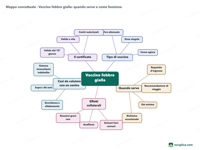 Mappa concettuale: Vaccino febbre gialla