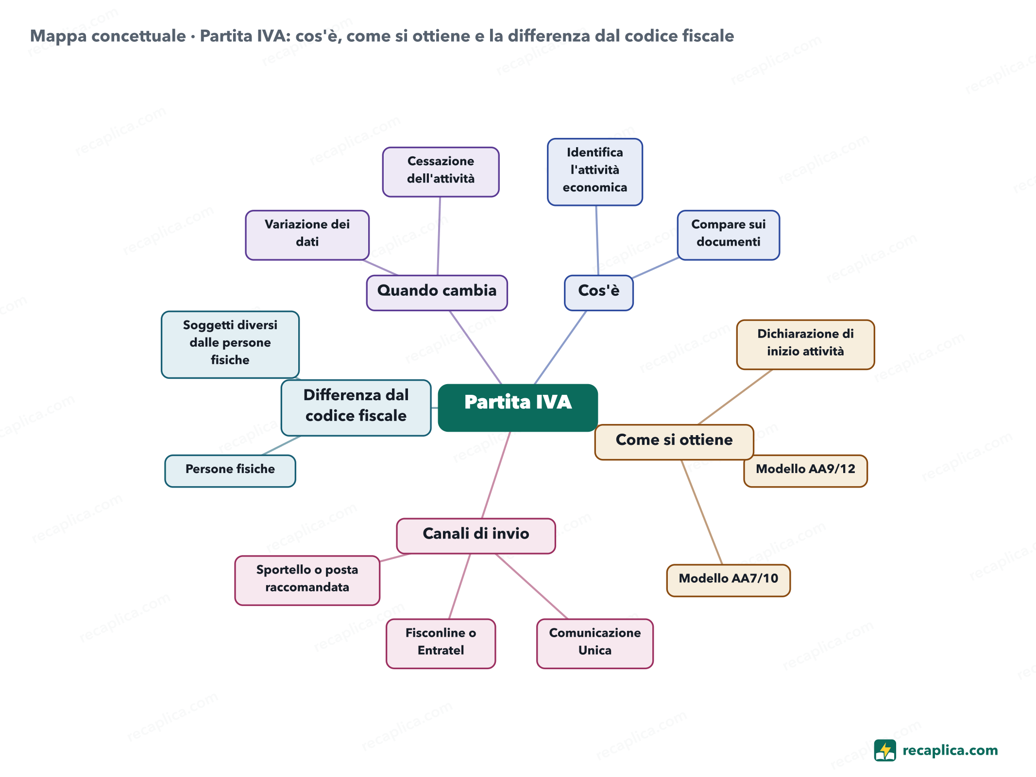 Mappa concettuale: Partita IVA: cos'è, come si ottiene e la differenza dal codice fiscale